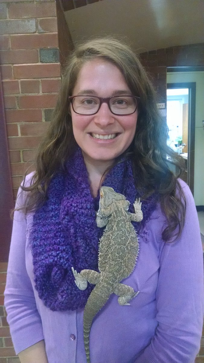 Bozo the Bearded Dragon is visiting 2W at Four Corners today! <a href="/Super_GPS/">Greenfield Public Schools</a>