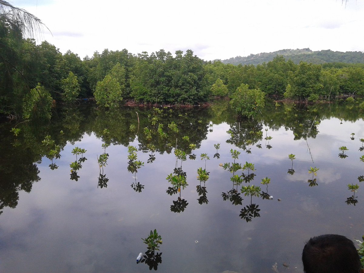 Suminto8 tweet picture