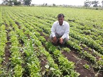 ril_foundation's tweet photo. #Waterconservation can see a rise in incomes despite #drought
https://t.co/jtQReZlEcE https://t.co/00ou29nCMi