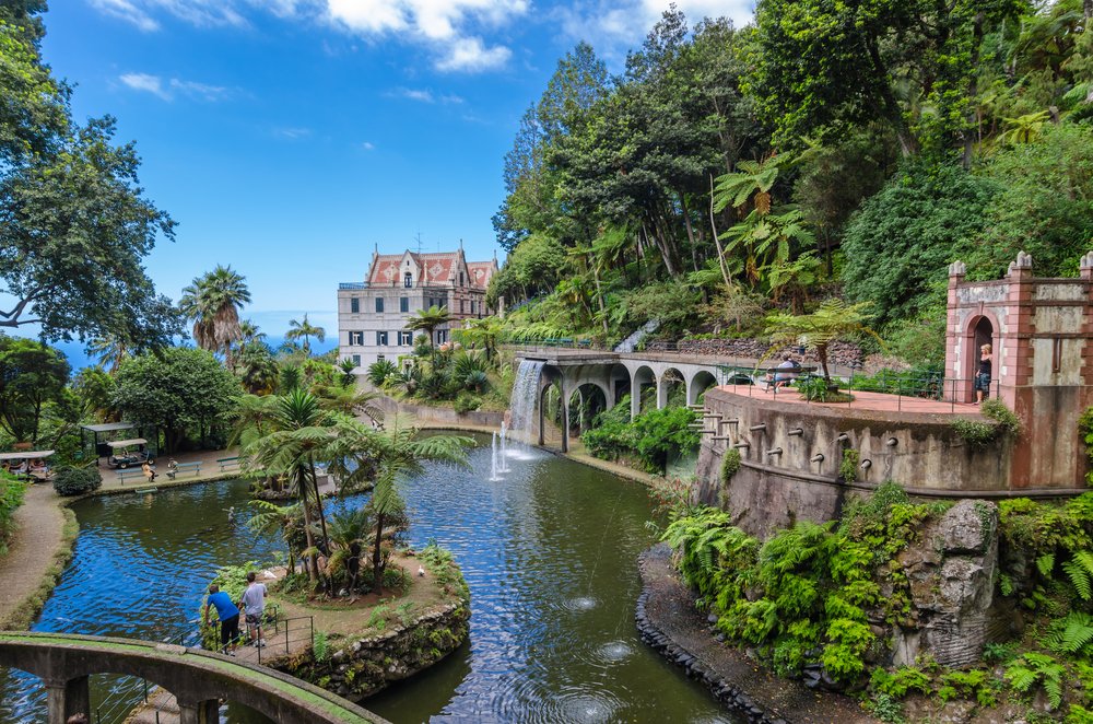 tripforwellness's tweet photo. Top 10 #Islands in Europe: #Madeira #3
https://t.co/SQ28gjZ6Qs #topislands #travel https://t.co/cRLslC3wbs
