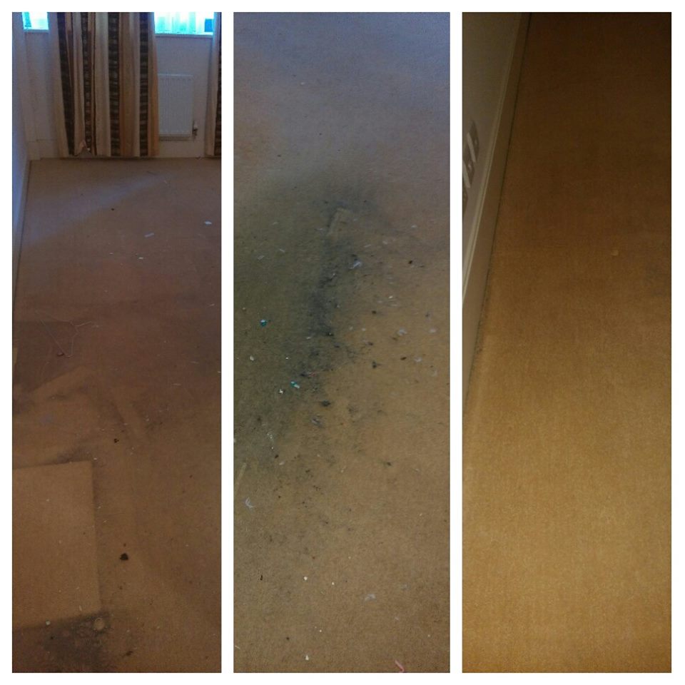 ecocleaningglos's tweet image. Everything can be cleaned, even the carpets! #cleancarpets @Chelt_Property @CotswoldsProp @YourGuinness