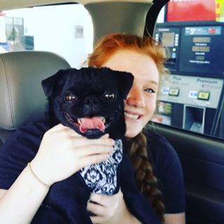 Joy_PhotoCam's tweet photo. Adventure Pugs Sunday Hike #pug #puglife #puglifechoseme #hikingpug #pixiepug https://t.co/Okku4T8lWA https://t.co/zriEaGZHvC