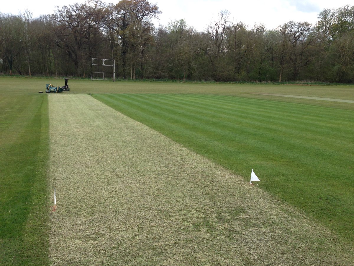 Melliscricket's tweet photo. 1st home game this Saturday wicket looks good if a #TouchGreen- outfield best not mentioned!
#WillTakeAStud https://t.co/yesZ8lit2F