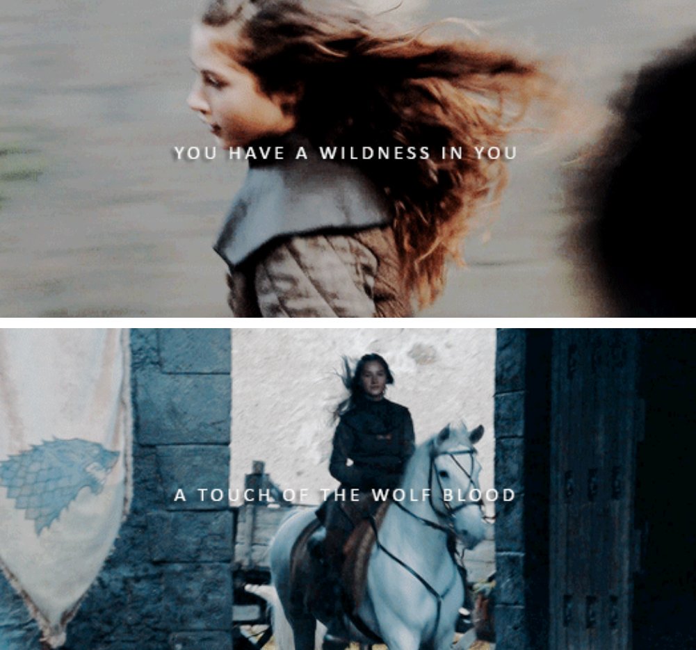 Lyanna Stark. Beautiful and willful, and dead before her time.