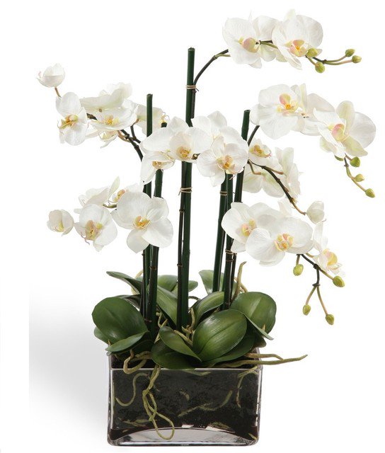 flowers for office tweet media