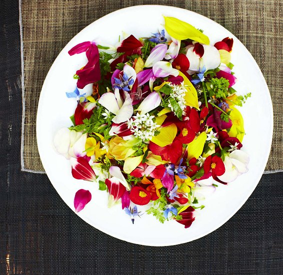 Een tongstrelend menu met de eerste eetbare bloemen v/h seizoen. Het bestaat! En wel hier: ow.ly/4njFsU