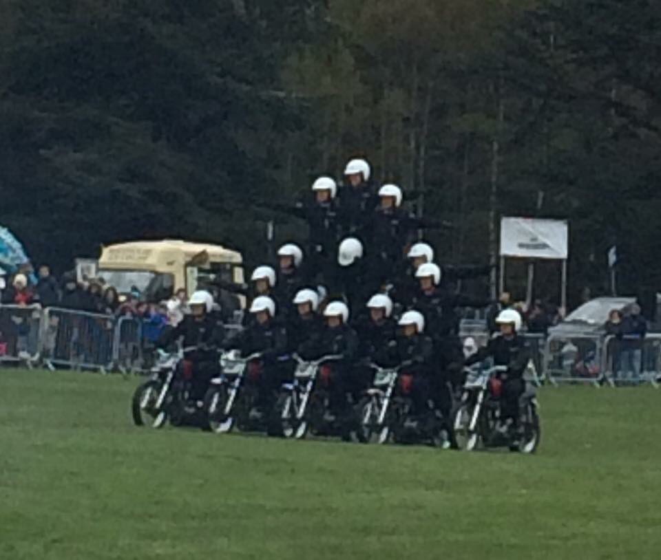 cchadders's tweet image. #geronimofest we just came home and made our own Geronimo inspired entertainment minus the queues.