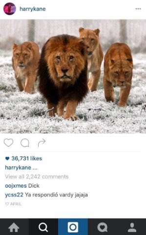 ODDSbible's tweet photo. Chat shit get banged. https://t.co/BYnR9z7XG5