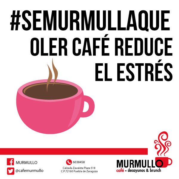 Es un pretexto delicioso para tomar café y en #Murmullo tenemos el más rico