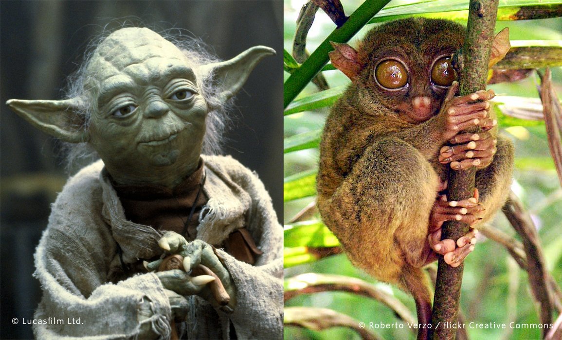 May the 4th be with you! Favorite "Star Wars" characters are closer than you might think bit.ly/1NLDq4O