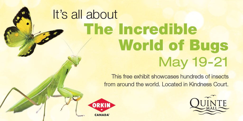 Quinte Mall tweet media