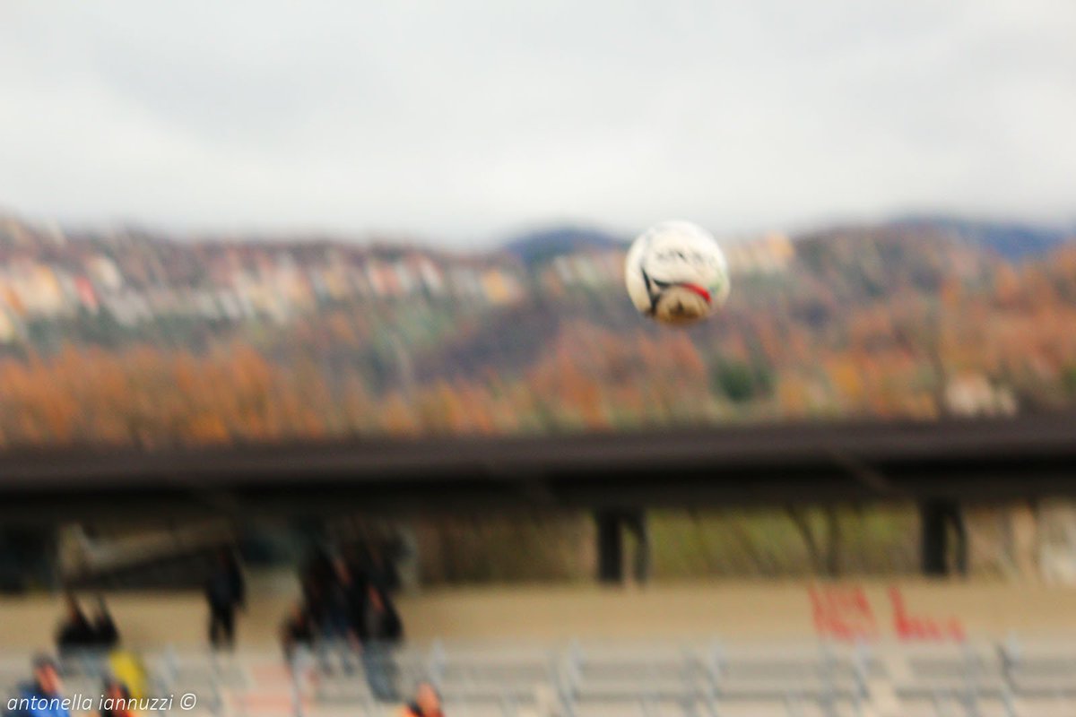 Alla passione non si comanda.. Go #Foxes!! #favolaleicester <a href="/DonRanieri/">Claudio Ranieri</a> <a href="/LCFC/">Leicester City</a>