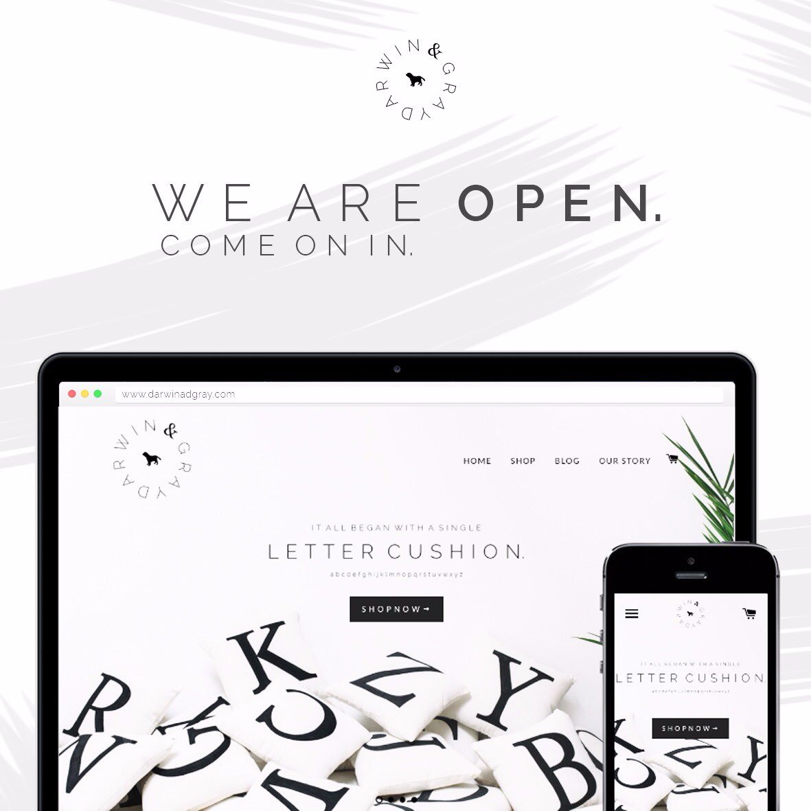 Darwin & Gray tweet media