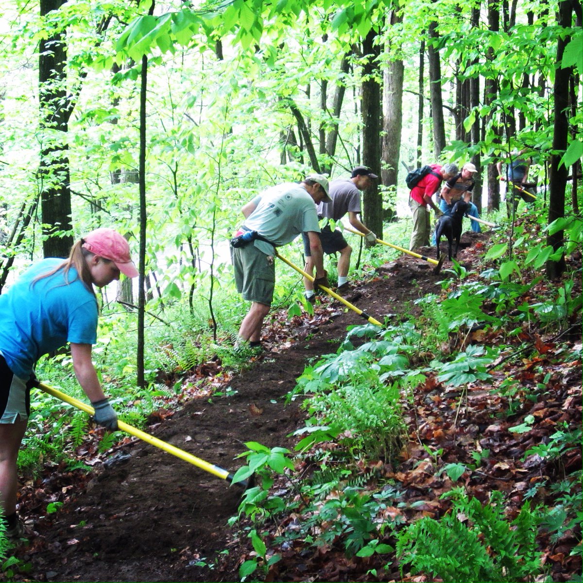 CycleCNY's tweet photo. Support #cyclecny volunteers #givingisgorges campaign! https://t.co/4NoSvFktmv
#trails #community #twithaca https://t.co/6cV0fzav9O
