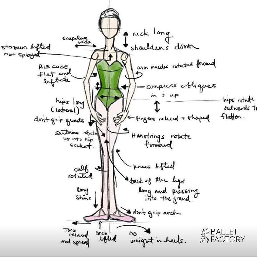 VictoriaAaguila's tweet image. Todo lo que debes hacer para tener una correcta primera posición. 👌💕💃
#firstposition #ballet #balletfactory by ball…