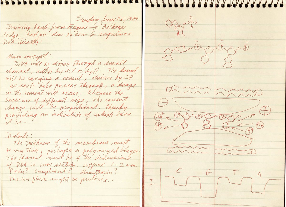edyong209's tweet photo. David Deamer sent me the pages where he first sketched the concept of nanopore sequencing. https://t.co/PnL3hlikKJ https://t.co/8WTsMlG8ev