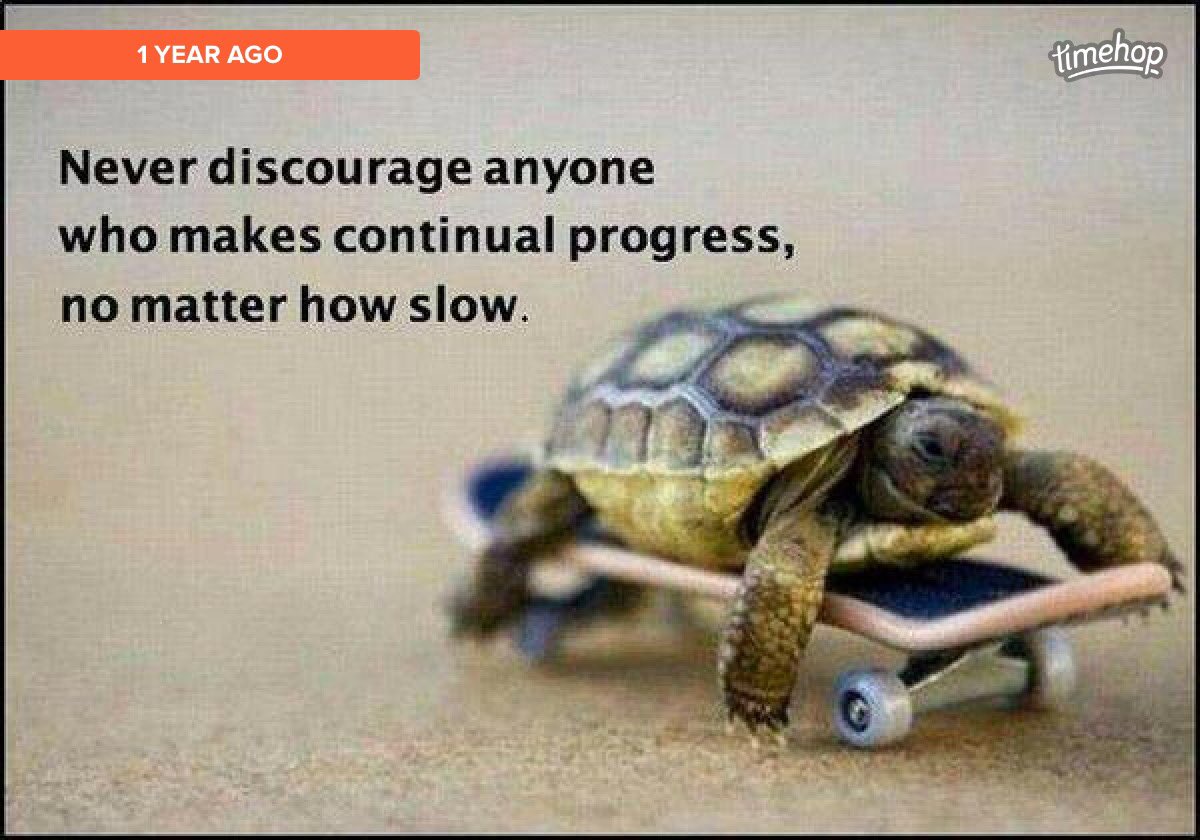 Schucrew1's tweet photo. Keep moving forward. https://t.co/NNcElDocBw