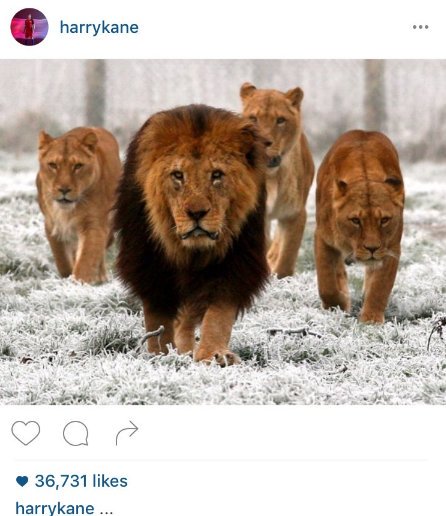 TheFitnesGuide's tweet image. Vardy is a savage....😎