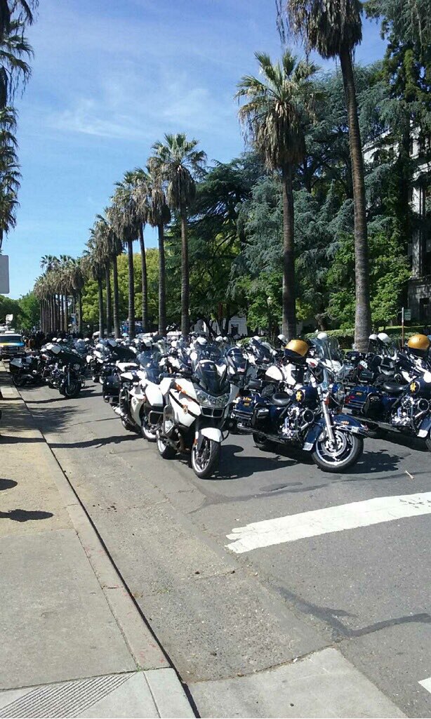 LegIntent tweet picture
