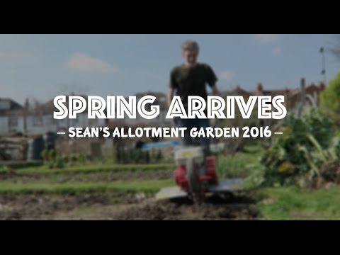 ourgardenclub's tweet photo. Sean's Allotment Garden: Spring Arrives (S4/EP10) - #GardenHowTo - https://t.co/tGeIIMKxvG - OurGardenClub https://t.co/buNqvSIO17