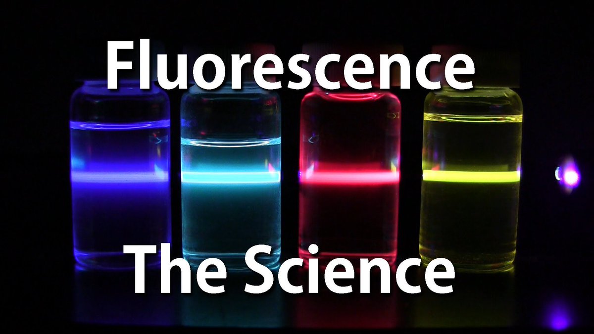 Our Flourescence week will leave you positively GLOWING with excitement 💡