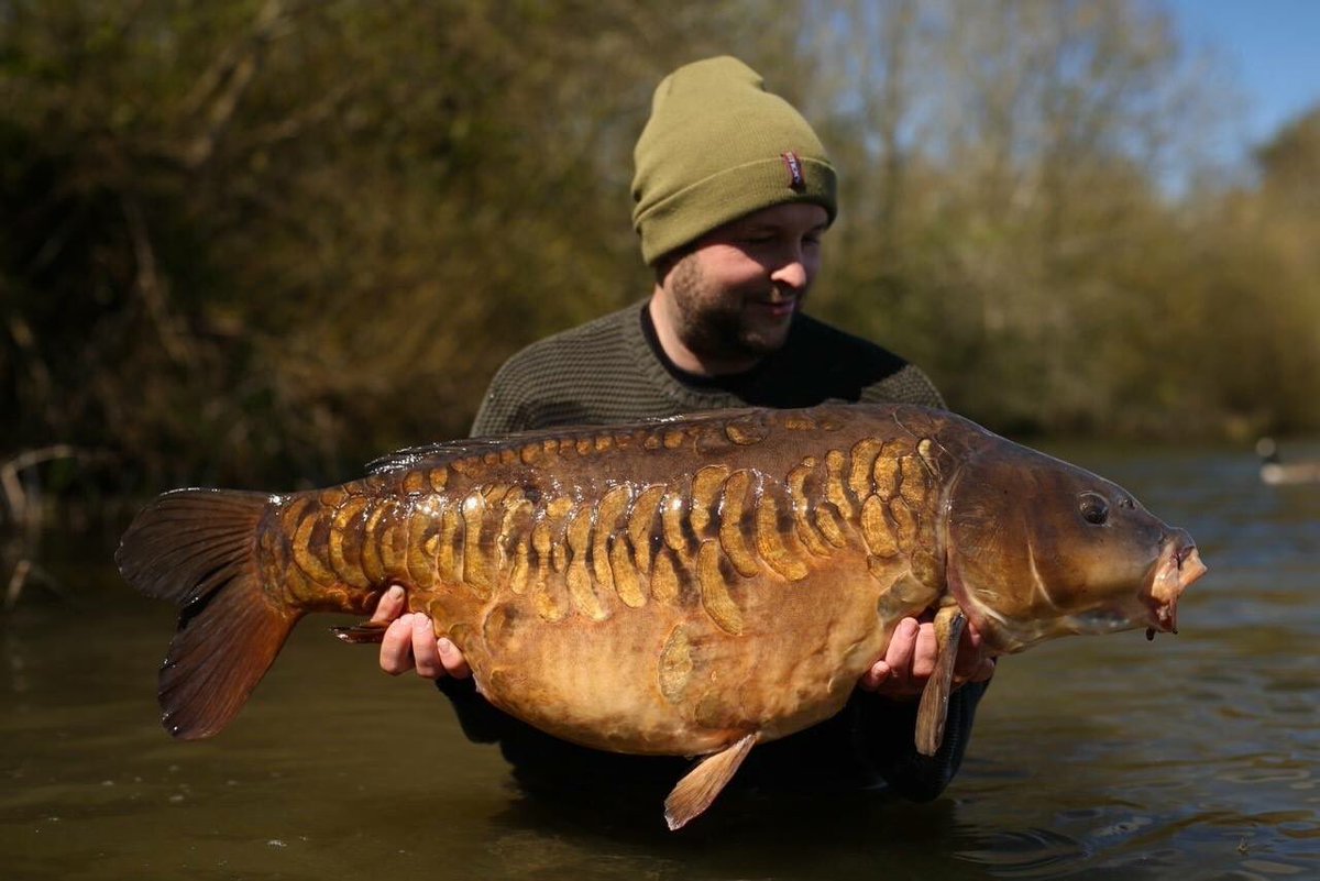 StickyOfficial's tweet photo. Baz Lloyd the proud capture of an incredible carp known as Mr Magoo. #Manilla https://t.co/hSO8NZqiEK