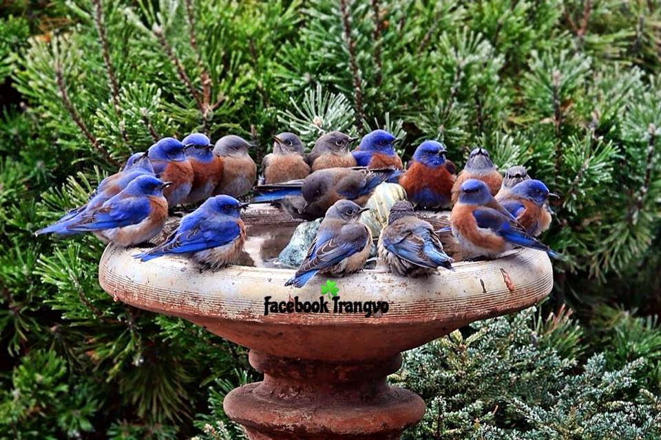 العالم الروحاني وطبيب الاعشاب ابو علي جميل للتواصل 00905393844220 واتساب فايبر  lin  imo sima