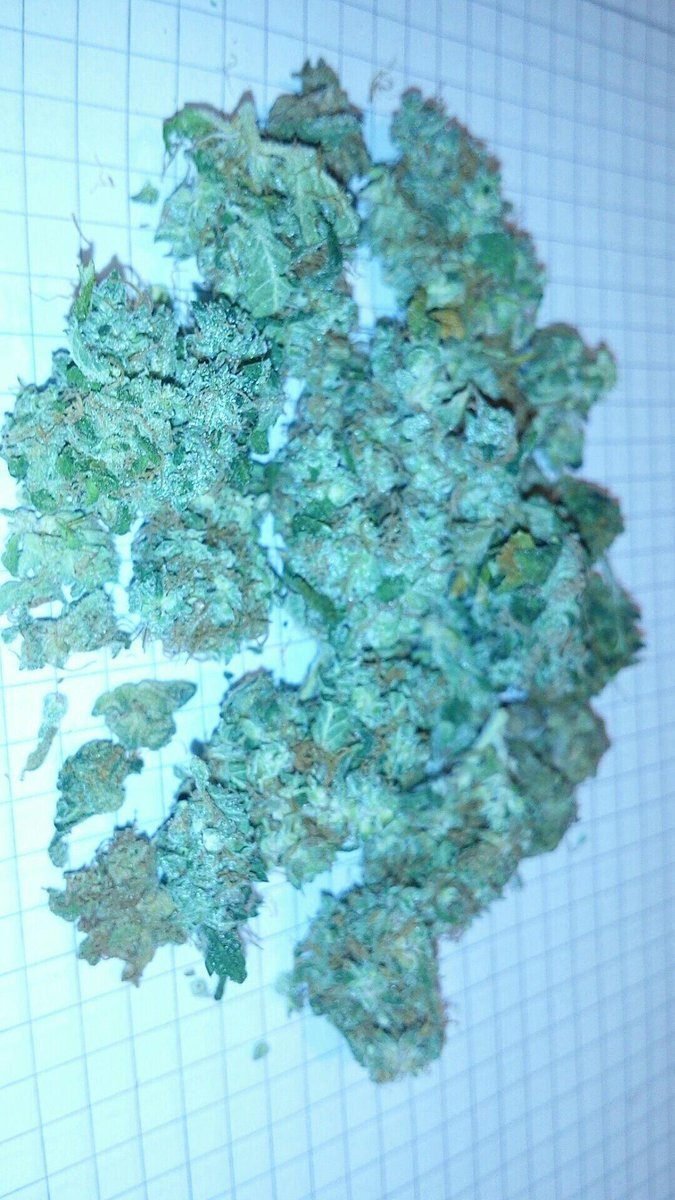 Time to roll up