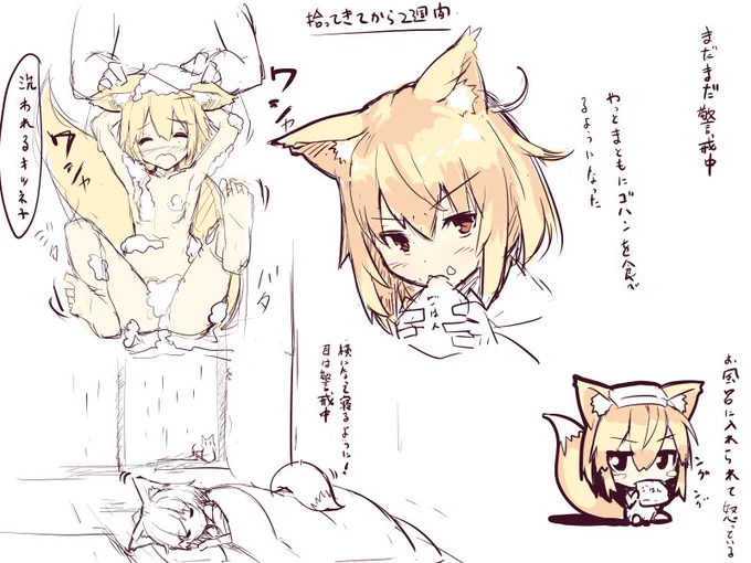 深夜のひっそり落書き!
拾ってきたキツネ子の日常2
2週間たちました。
そろそろ他の狐子と差別化を図るために名前は付けなければ。
そういえば狐って飼われてるのって何食べるんでしょう?ドックフードとか?食べるのかな? 