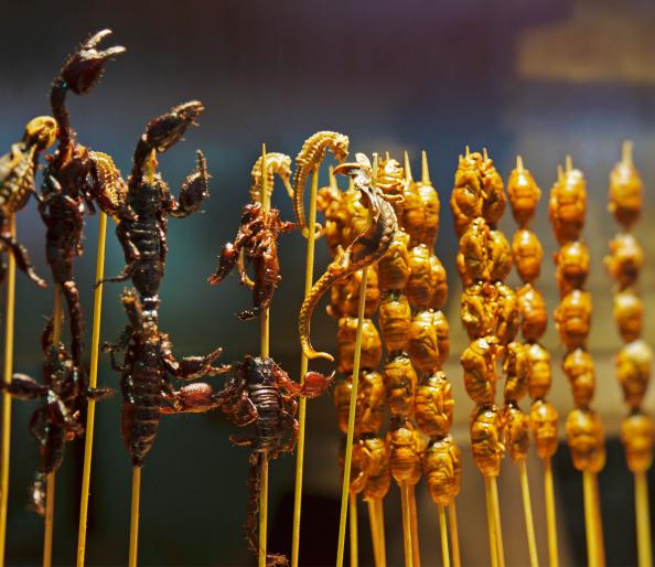 trainingworld43's tweet photo. As a #workout fuel, #chocolate makes some sense  — but #crickets and #scorpions? https://t.co/t1HxvFURUt https://t.co/U7tZ9YDsqW