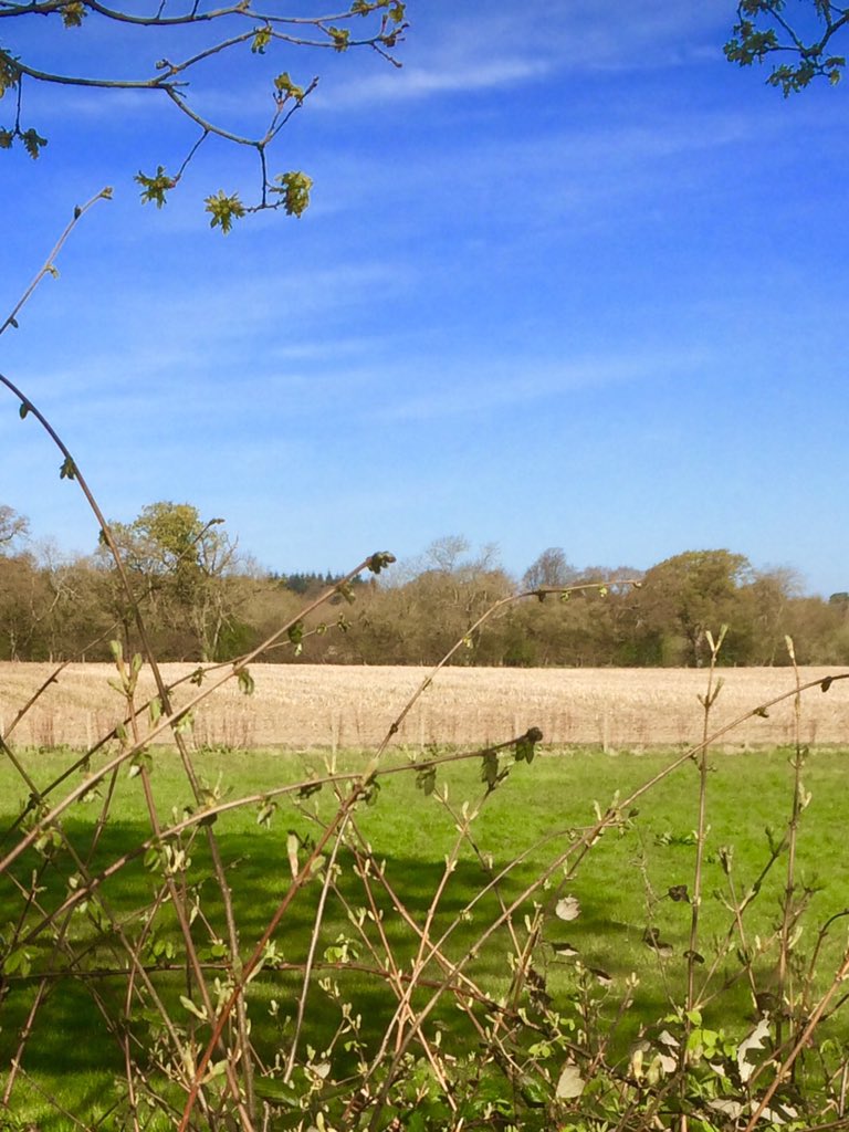KLawrieJeweller's tweet photo. @sdnpa the view from my window. West Sussex. Sadly, may becoming a quarry! SDNPA wish you didn't support the plans! https://t.co/RZ7pvVPNsn