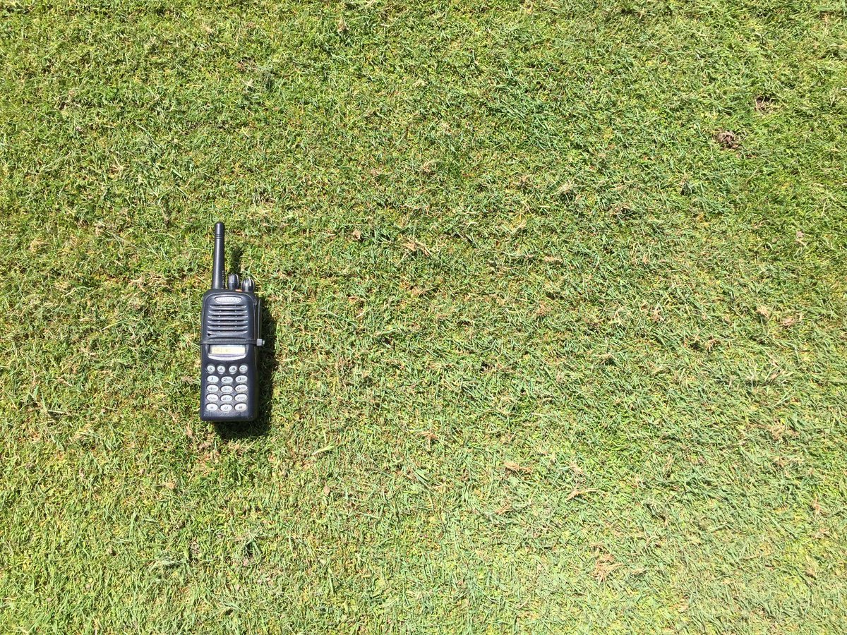LeggyBent's tweet photo. TerraRake in action today on our #MaintenanceMonday. Does a great job standing up our leggy bentgrass. https://t.co/8qpUdh1jSl