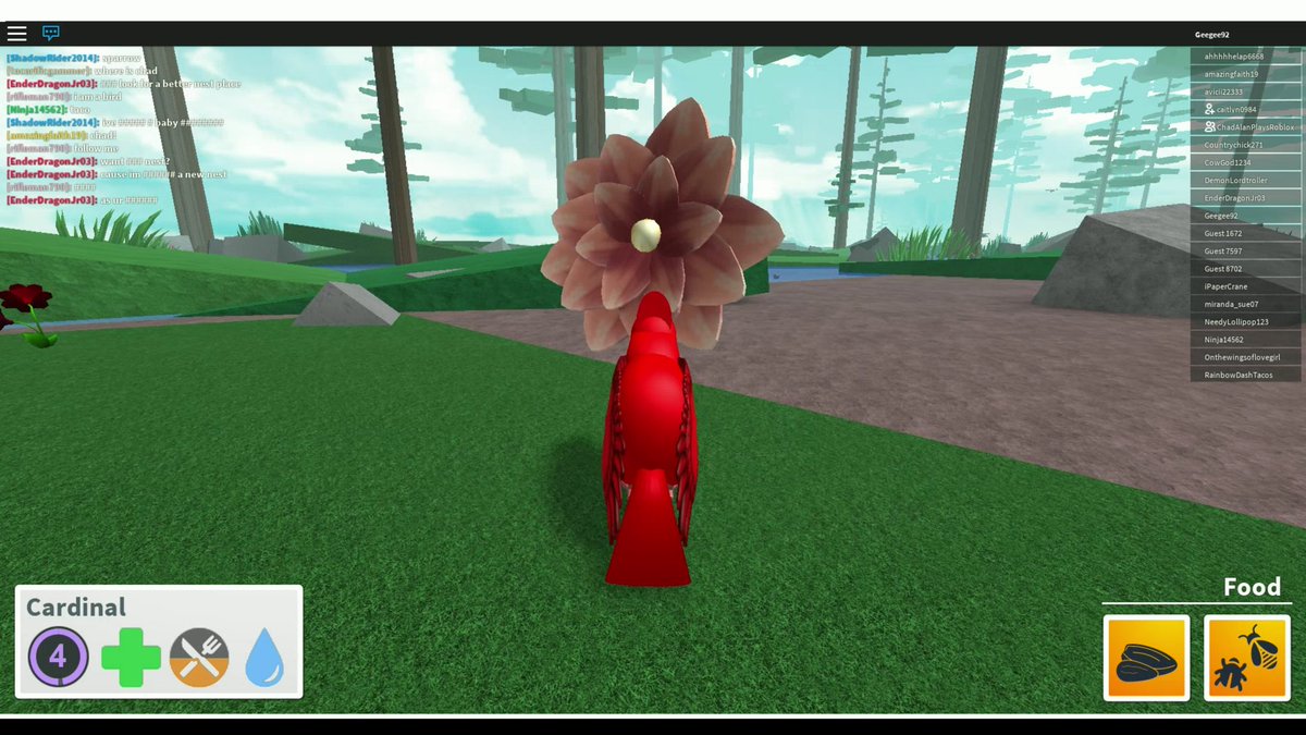 Bird Simulator Roblox