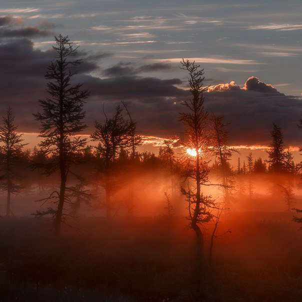 Agen307's tweet image. Russia is ideal for those who have perenasytil different tourist routes
we are waiting for you, please contact us