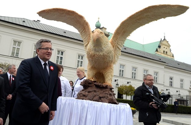 Zobacz obraz na Twitterze