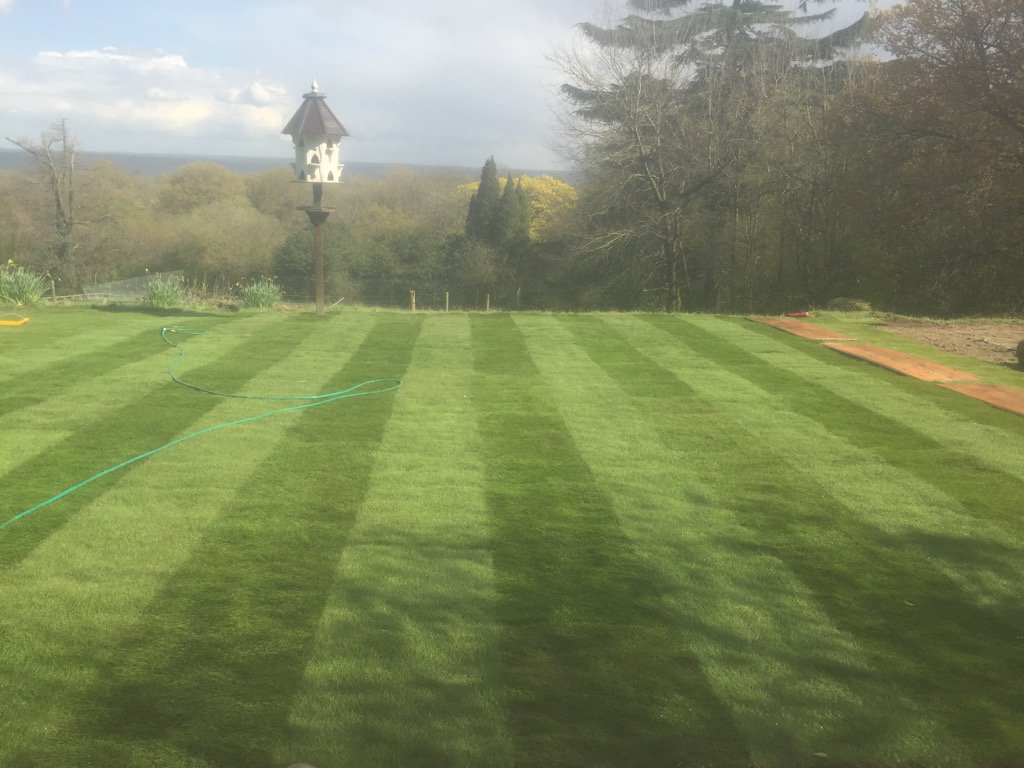 Turfing we done this week, 384 turfs. #bigjob # lotsofturfs