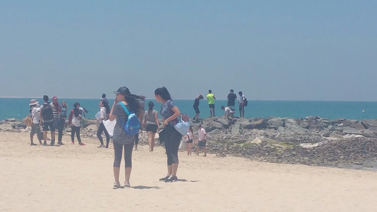 Secondary Deputy tweet media