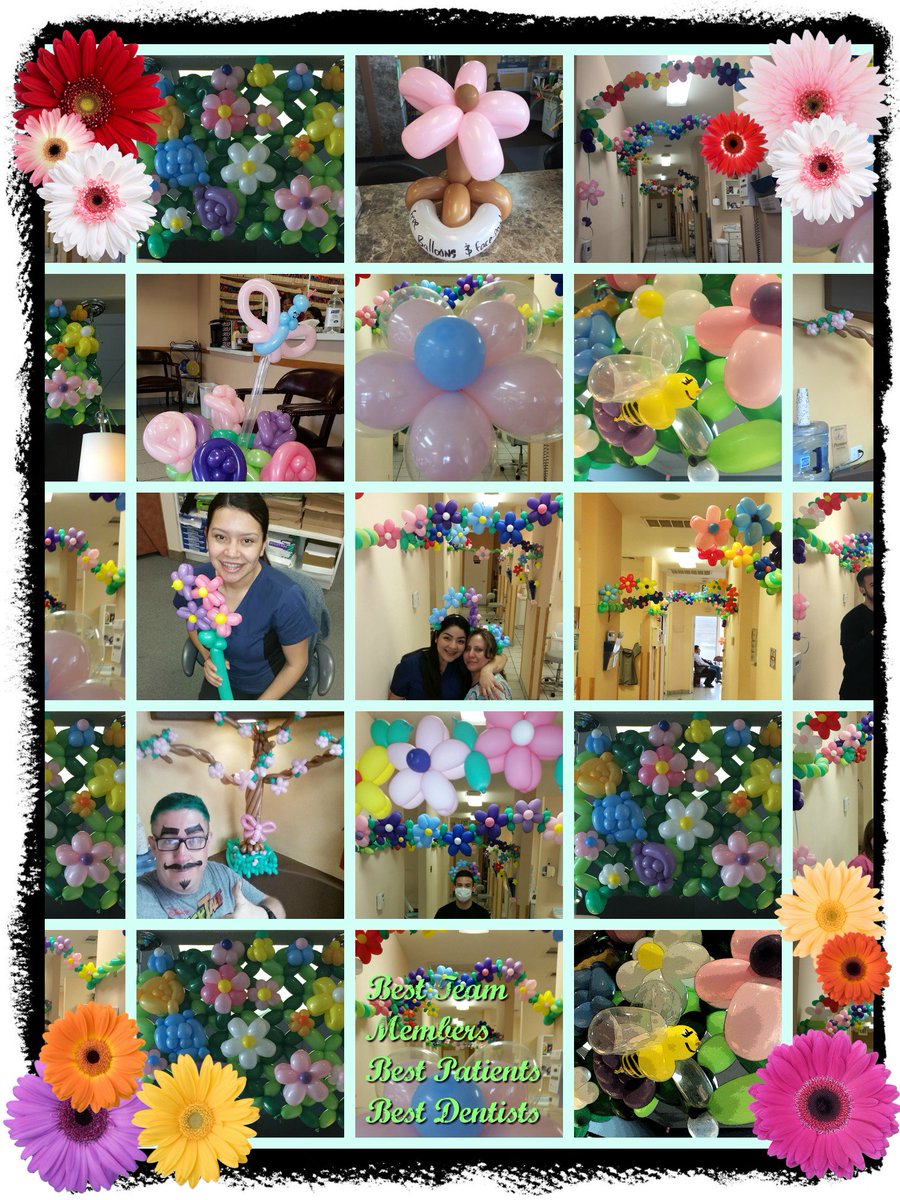 RonAbaroDDS's tweet photo. Thank you @JoesPartyAnimals for this. You make our office so darn pretty on Thursdays! https://t.co/9KMx3wziYi