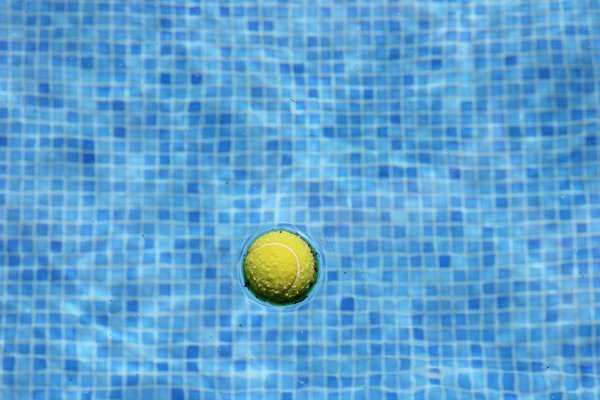 RodMrRealEstate's tweet photo. ●#MrRodWilson rt: #HomeMaintenance Hack: Clean pool water with a tennis ball. https://t.co/7RVQgyVDCw https://t.co/wl8ChFRBG8