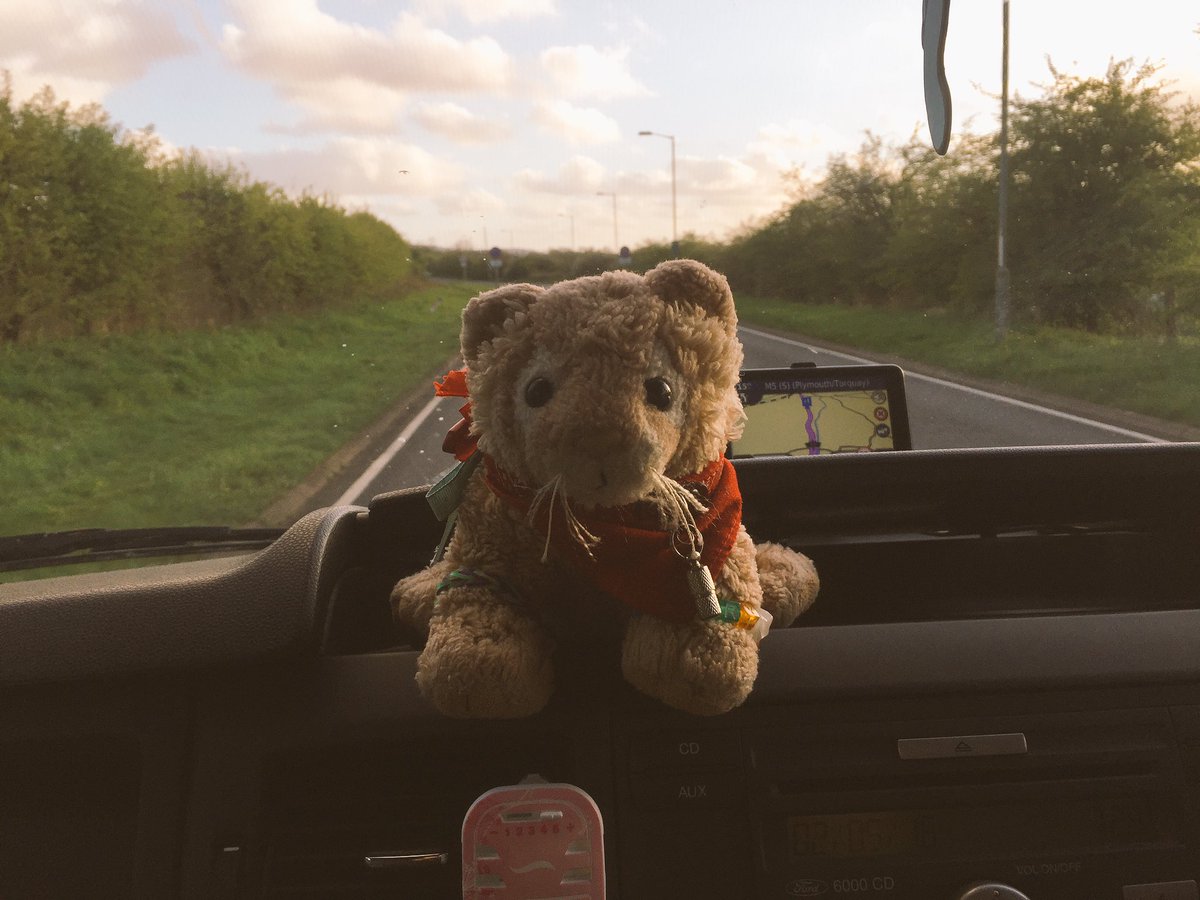 TobuscusSeary's tweet photo. My mummy and daddy have bought a RAWR #CamperVan yay! Had a nice time on the dashboard this weekend :D https://t.co/0NFXqstj2J