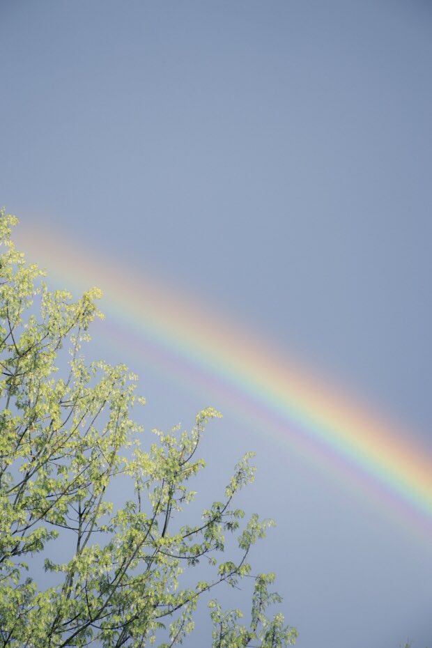 HCCabrini's tweet photo. It may be a rainy week ahead, but don't forget what happens after rain 🌈 https://t.co/OxiSHCKuH0