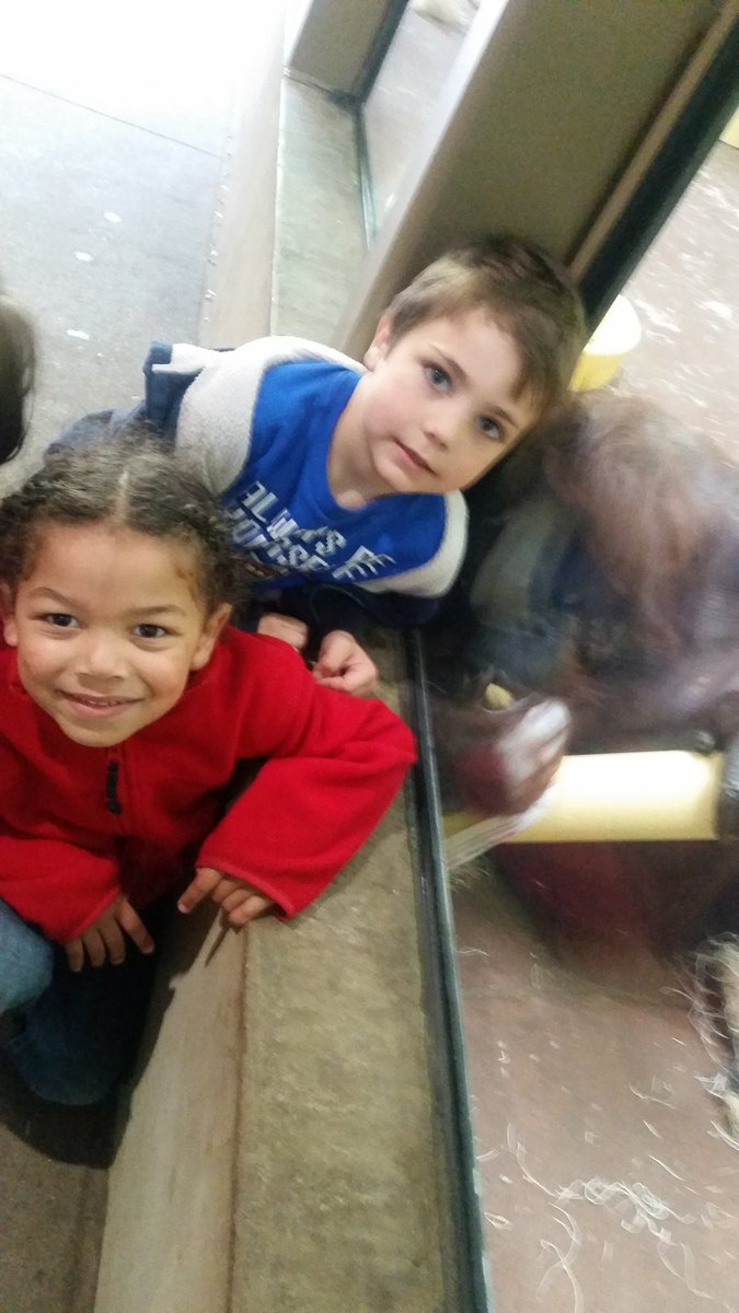 MissMurphy15's tweet photo. Field trip fun! 🐆🐘🐒🐨 #mteagles #sjsdproud https://t.co/qOfemRTNII
