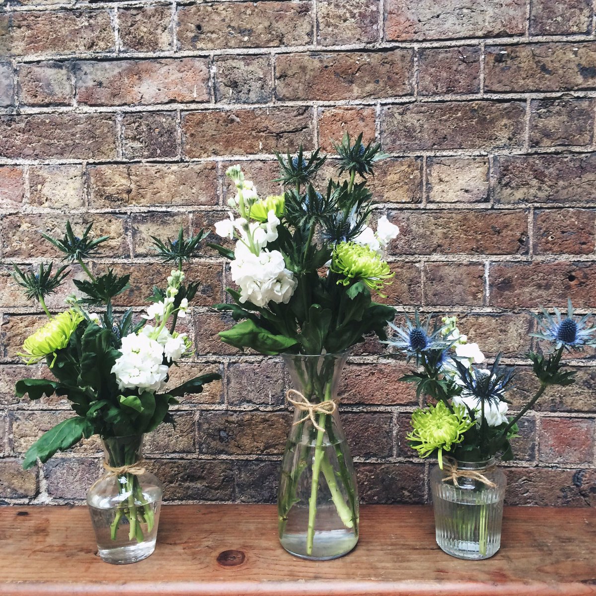 Brothersisterd2's tweet photo. Thank you Robbie for the lil' arrangements @ohnonoitsroro 🌷🌸💐🌿 https://t.co/xWz85k0Uy6