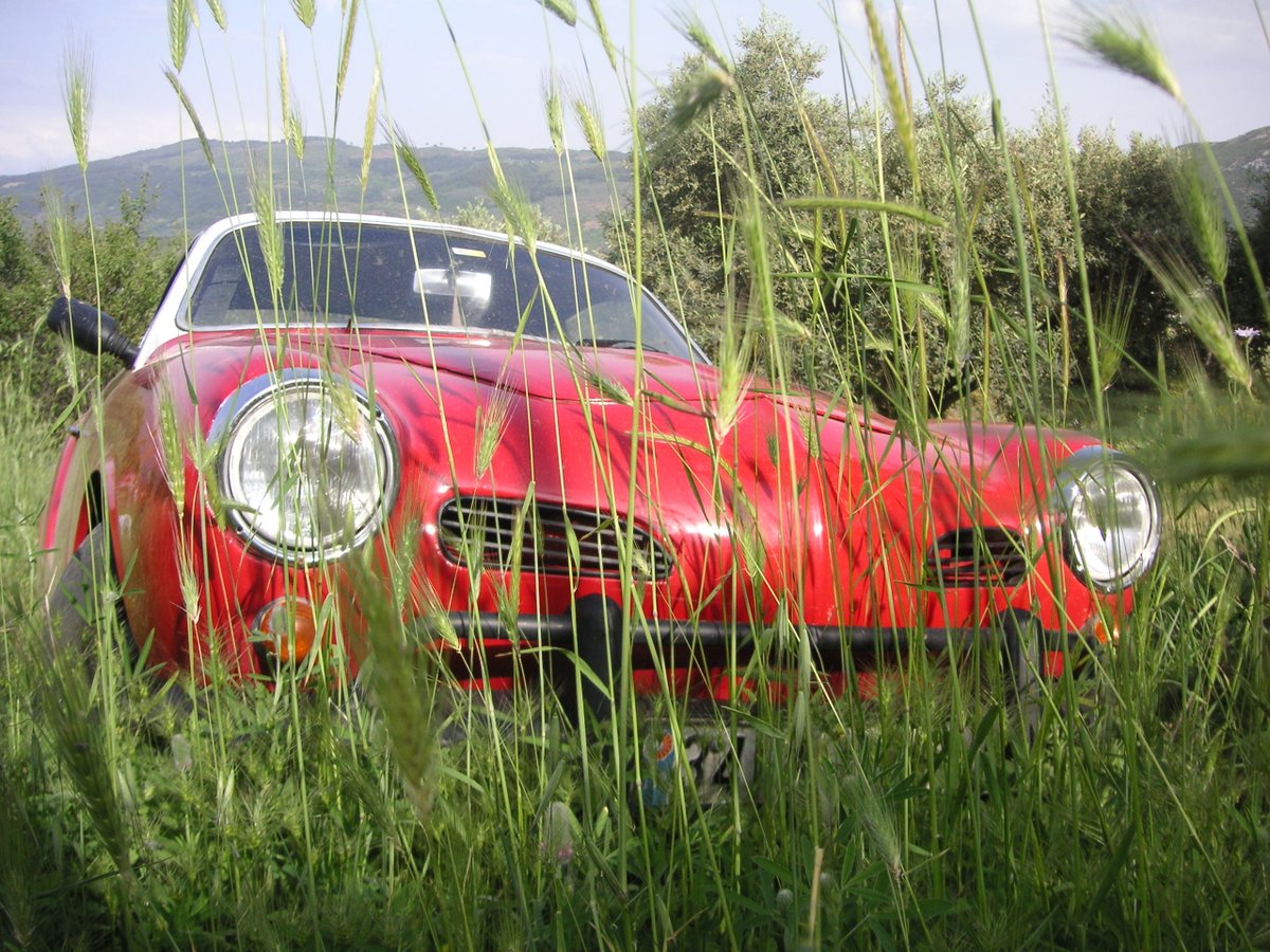 Yeşile Performans...........