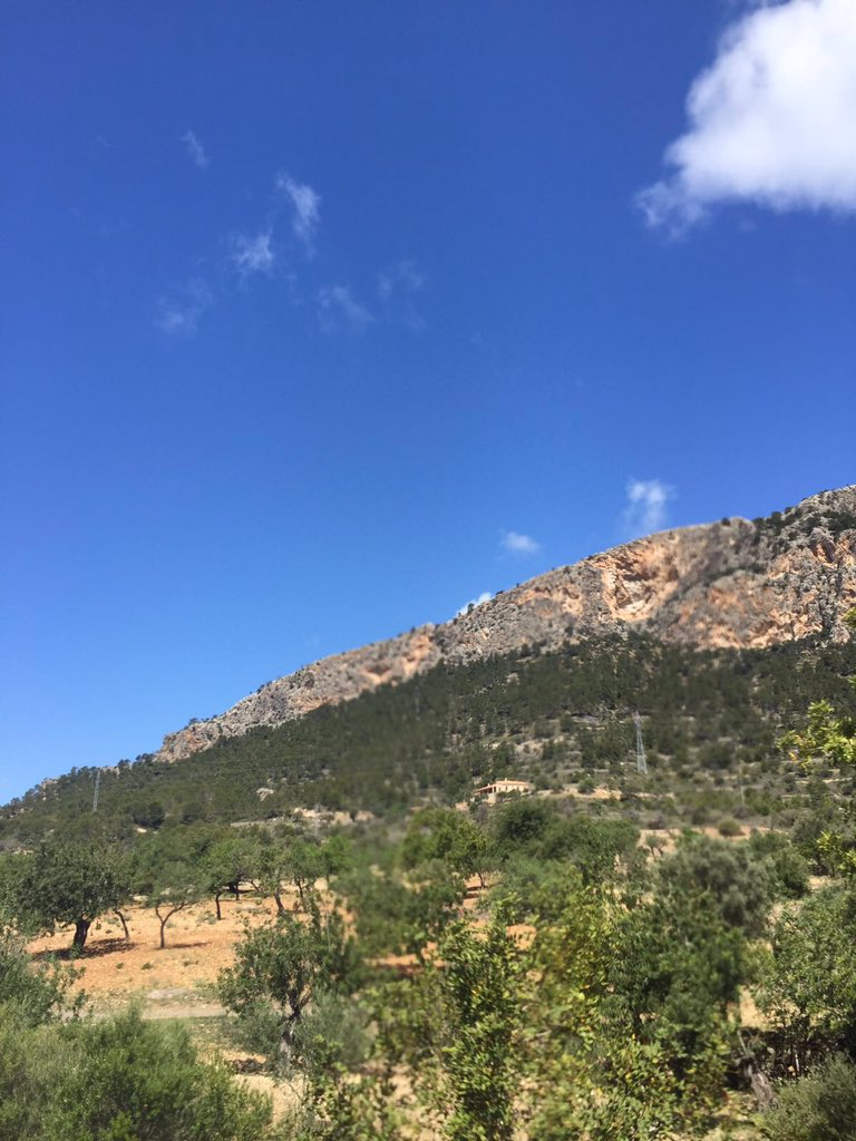 cmansfield14's tweet photo. Andratx 🌍👫🚗☀️ https://t.co/g92vkgy73j