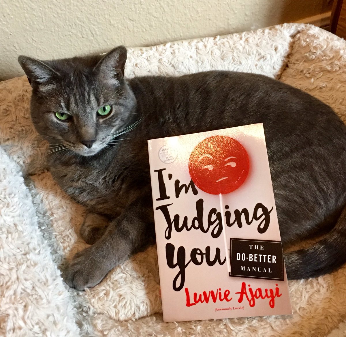 Jenny Lawson tweet media