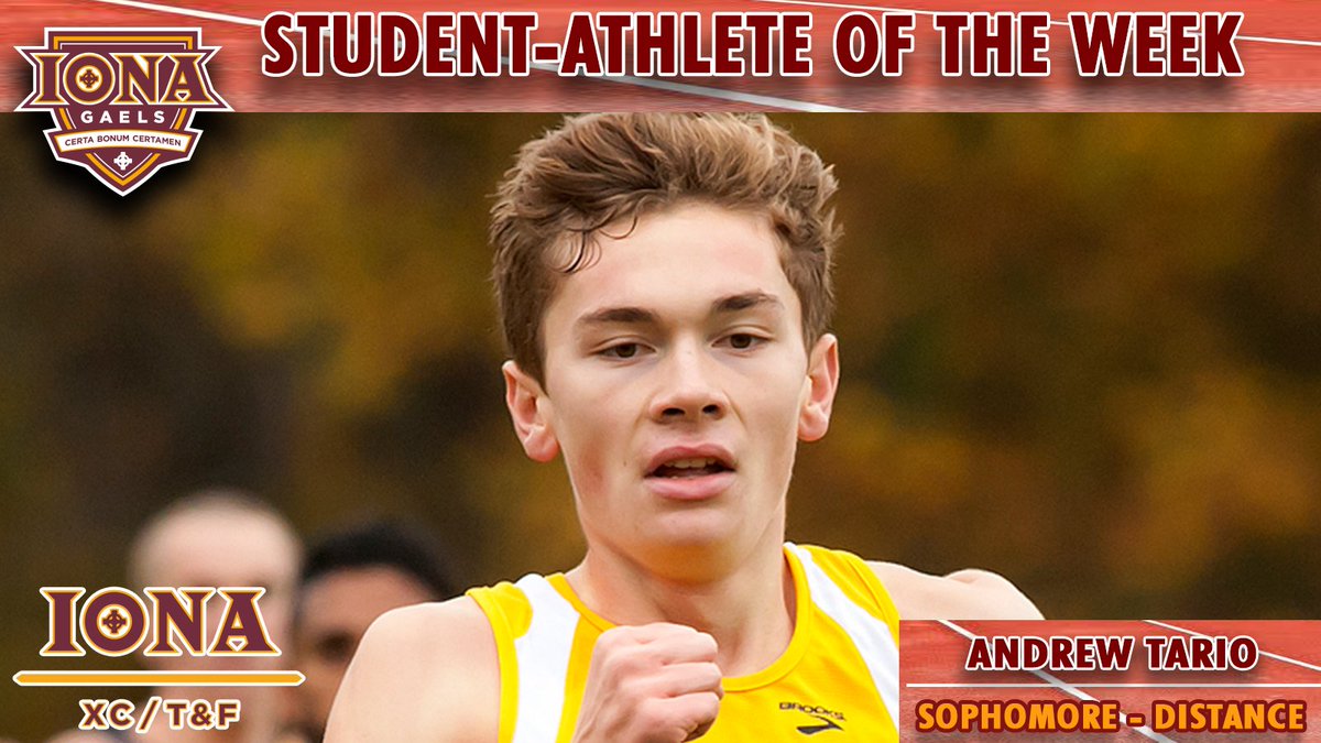 IonaGaels's tweet photo. Congrats to @IonaXCTF's  Andrew Tario on being named the @ionacollege male Student-Athlete of the Week! #ICTF https://t.co/wYcZwhFSkC