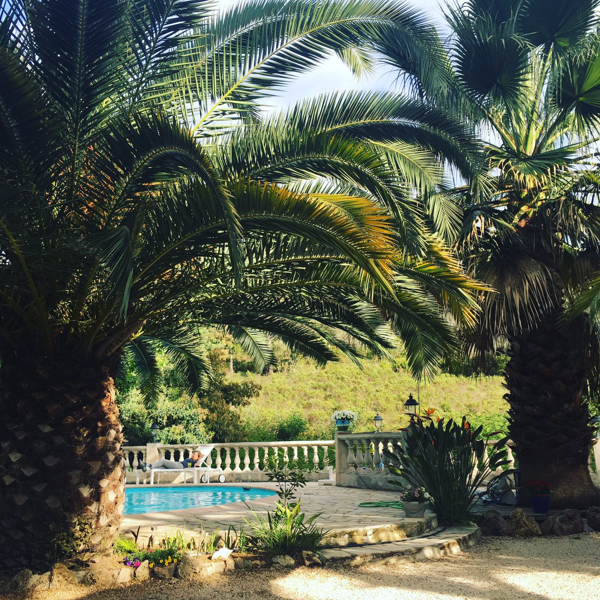 EmilyLadyMusic's tweet photo. #summerisgoingtobehot ! https://t.co/ouq23VUWWy