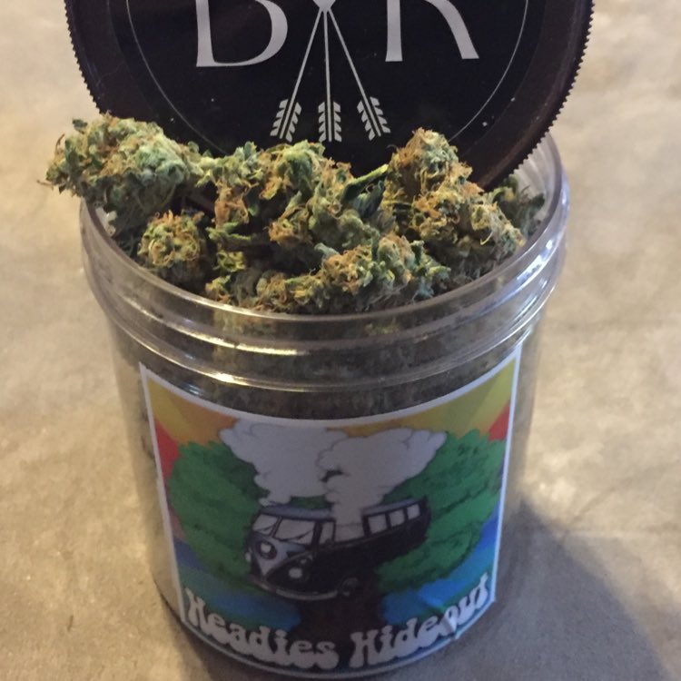 TXDOc - Got Grade A Buds Order Now saintmaryhouse.com @DMACA1961 <a href="/tommychong/">Tommy Chong</a> <a href="/livelovedank420/">420Cannabis</a> <a href="/wizkhalifa/">Wiz Khalifa</a>