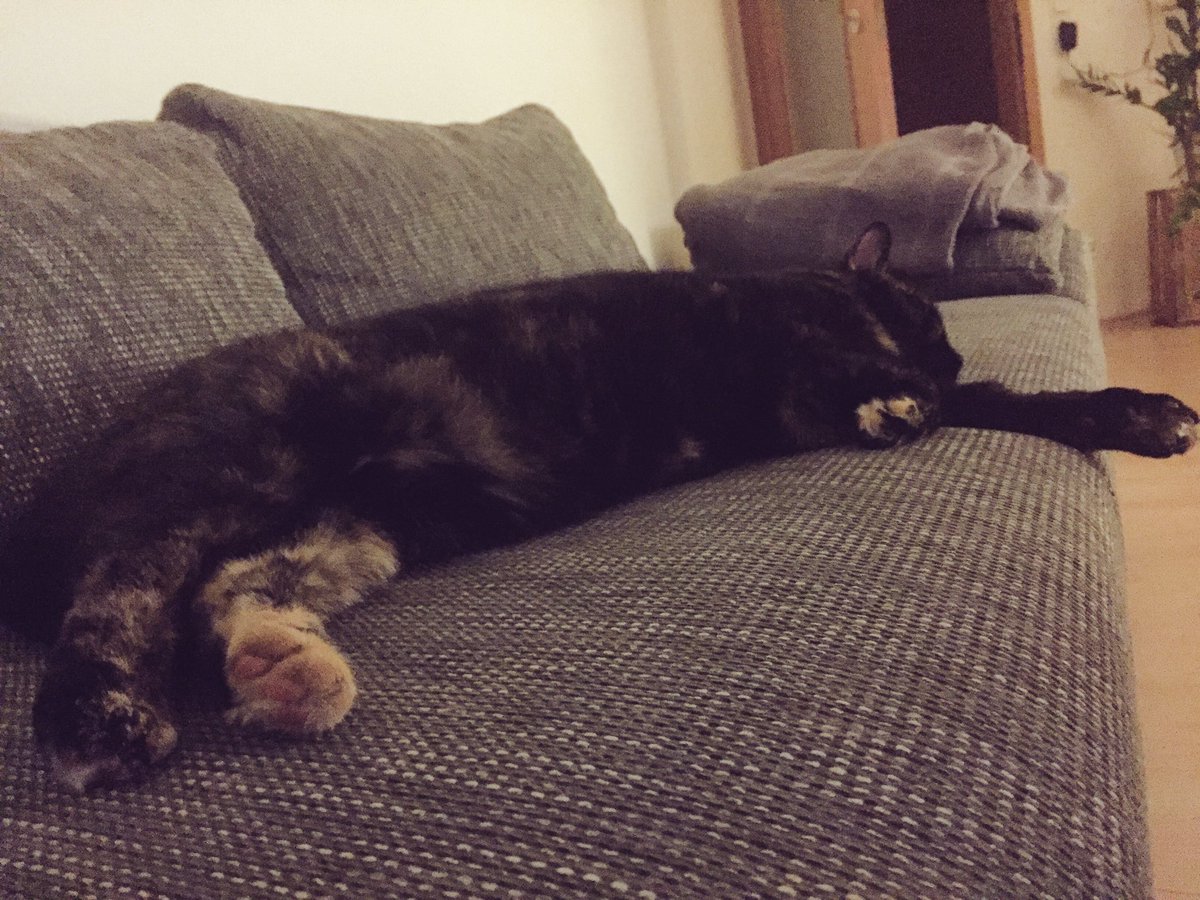 Ein Tag in der Sonne und ich bin platt wie'n Fisch!